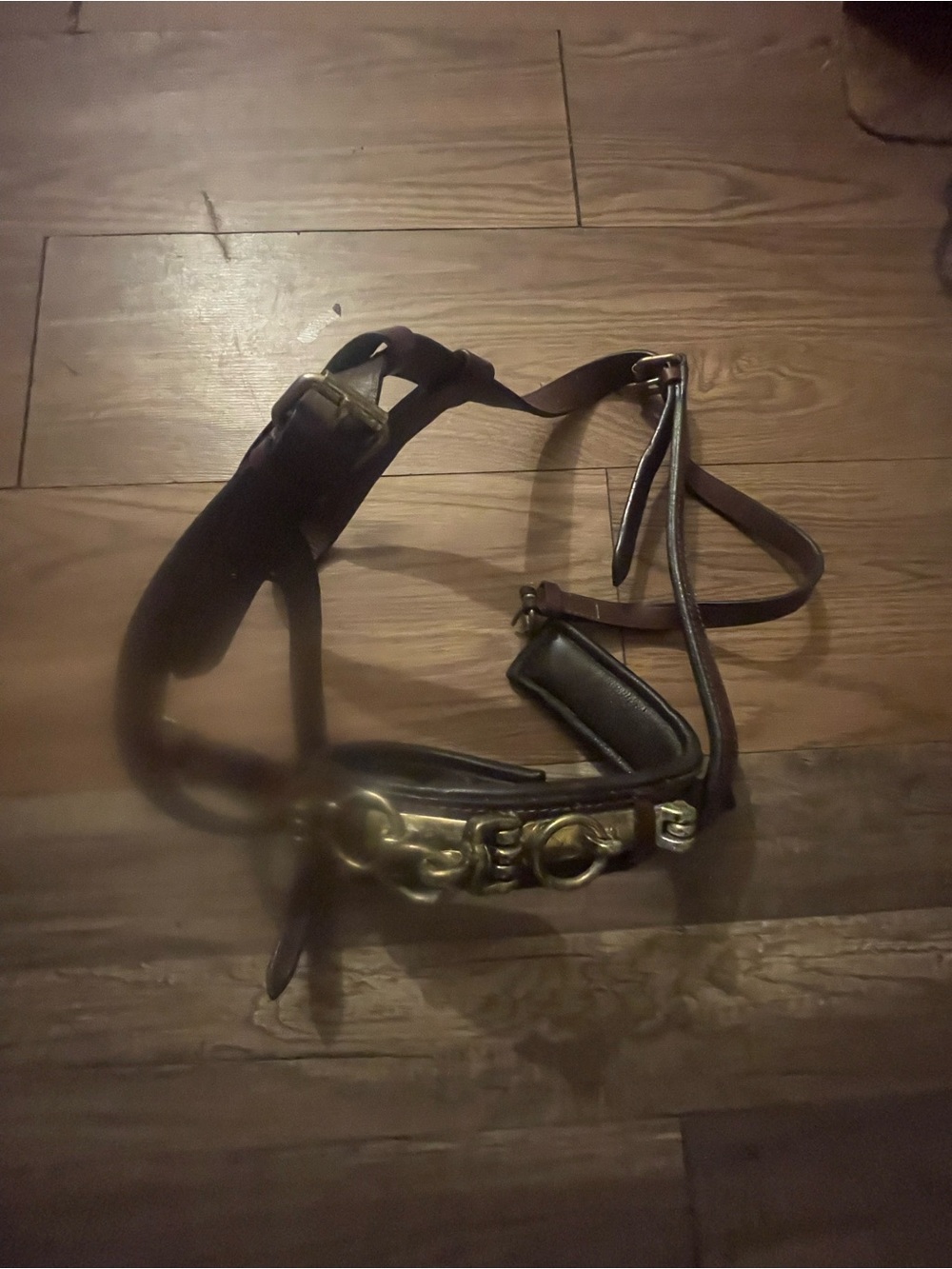 Pony Leather Harness with Brass Ring Accents - Dark Brown